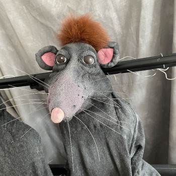 ratte1 ratte1