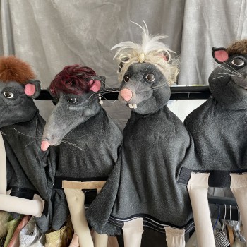 viele ratten viele ratten